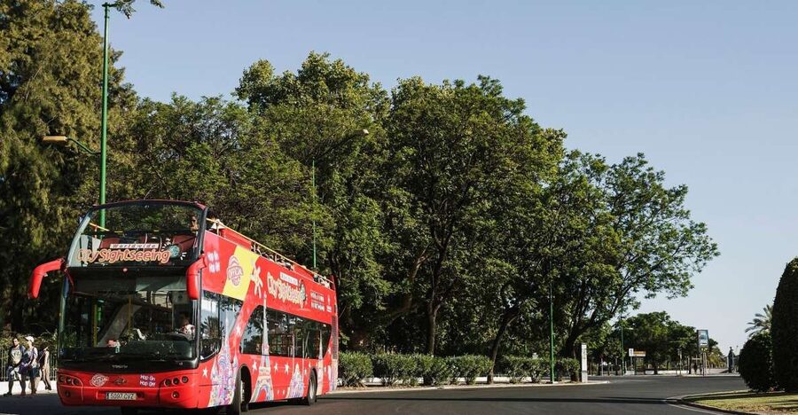 Potsdam: City Sightseeing Hop-On Hop-Off Bus Tour - Key things to know before you ride