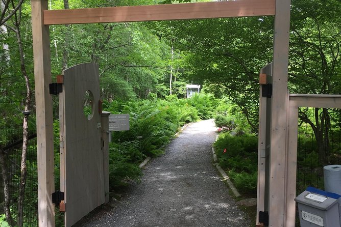 Premium Narrated Bus Tour of Bar Harbor and Acadia National Park (3.5 Hours) - Why this tour feels worth $99: time saved, stories gained