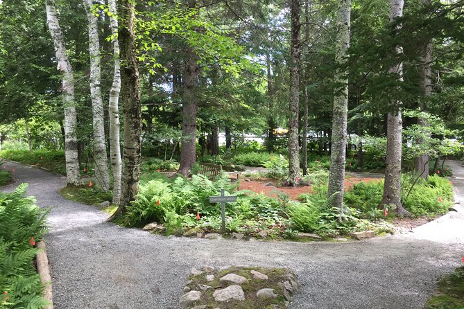 Premium Narrated Bus Tour of Bar Harbor and Acadia National Park (3.5 Hours) - Stop 3: Sieur de Monts Spring—where Acadia’s story begins (about 25 minutes)