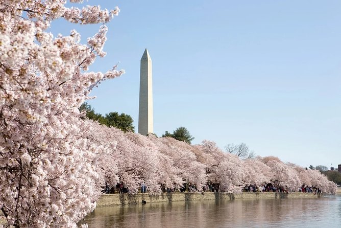Presidential DC: Capitol Hill + DC Bus Tour, US Capitol Entry - World War II, MLK, and FDR: memorials that hit hard fast