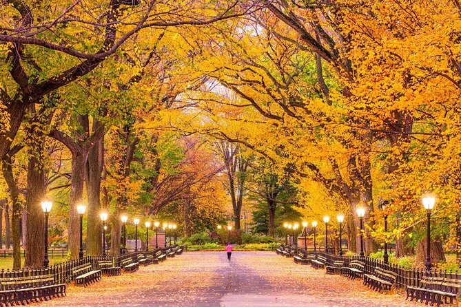 Private Luxury Tour of NYC With Transportation - Key things that make this tour worth your attention