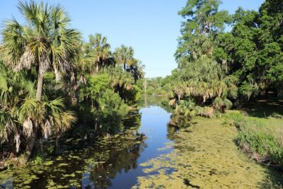 Private New Orleans City and Cemetery Bus Tour Up to 24 People - From the American sector to Lake Pontchartrain: the ride that gives context