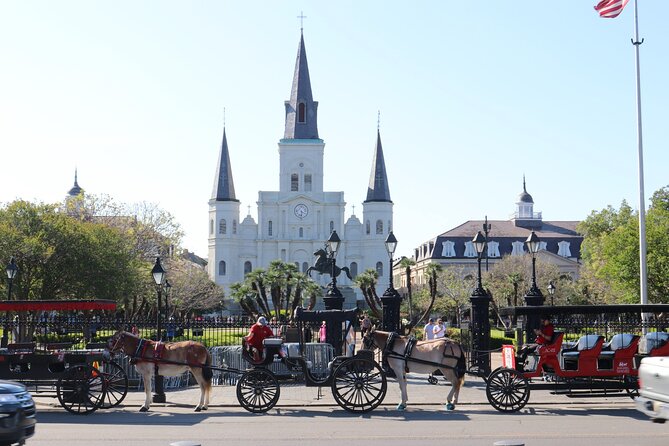 Private New Orleans City and Cemetery Bus Tour Up to 24 People - Treme and Uptown street stories: music streets plus mansion lines