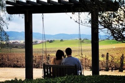 Private or Semi-Private Wine Tasting Tour from Paso Robles - Choosing four wineries from the list of 75 (so you don’t regret it)