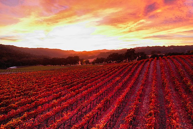 Private or Semi-Private Wine Tasting Tour from Paso Robles - Comfort, pickup, and the van reality (the stuff that affects your day)