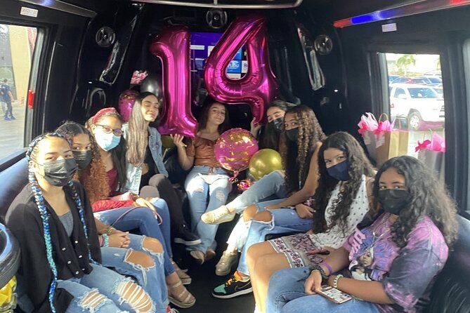 Private Party Bus Tour in Puerto Rico - Who this party bus tour suits best