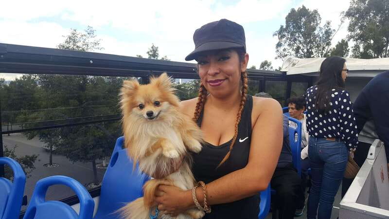 Puebla: Hop-On Hop-Off Bus Tour with Audio Guide - Principal Theater, El Parián, and the craft-market stroll