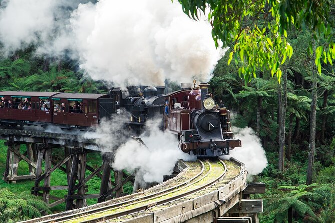 Puffing Billy And Phillip Island Penguin Parade Bus Tour - Key Things I’d Highlight Before You Go