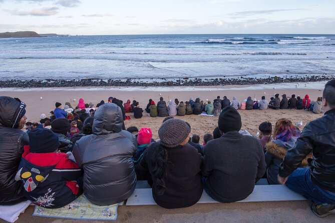 Puffing Billy And Phillip Island Penguin Parade Bus Tour - What You’re Getting for the Price: Is $171.42 Worth It?