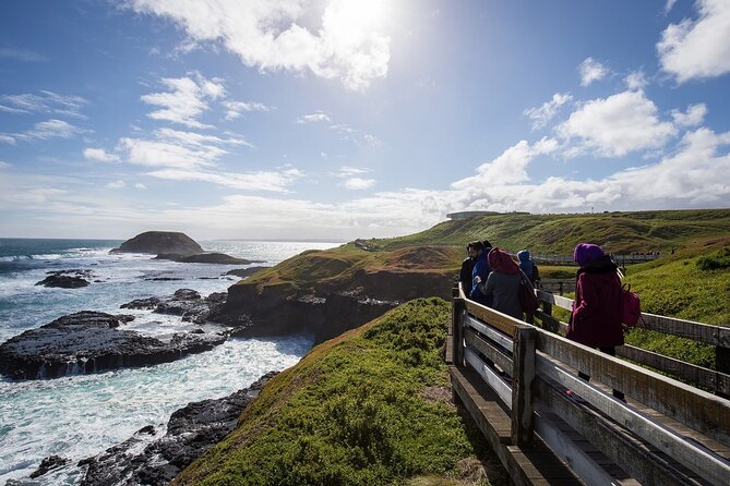Puffing Billy And Phillip Island Penguin Parade Bus Tour - Timing, Comfort, and the Long-Day Reality