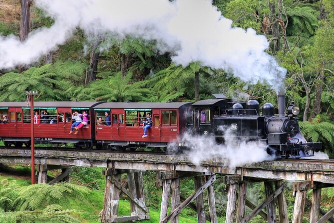 Puffing Billy And Phillip Island Penguin Parade Bus Tour - Puffing Billy Steam Train: What You’ll Do at Emerald Lake Park
