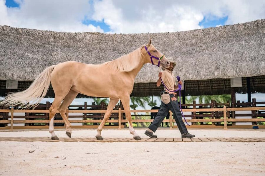 Punta Cana: Xploration Animal Park Bus Tour with Encounters - Should you book this Punta Cana Xploration tour?