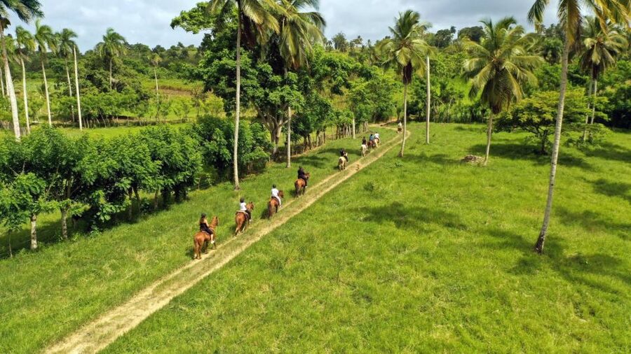 Punta Cana: Xploration Animal Park Bus Tour with Encounters - What to bring: small items that make the day smoother