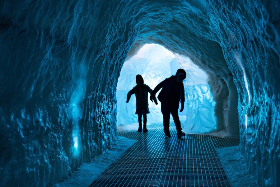 Reykjavík: Hop-On Hop-Off Bus and Perlan Museum Entry Ticket - Price and value: is $88 worth it?