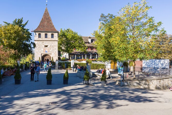 Rhine Falls Coach Tour incl. entry tickets from Zurich - The summer-only cruise: worth it, but treat it like an adventure