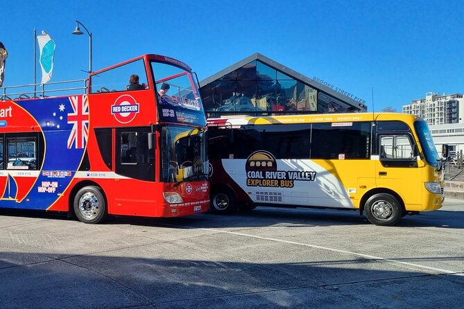Richmond Village & Red Decker hop-on hop-off - Key highlights to know before you go