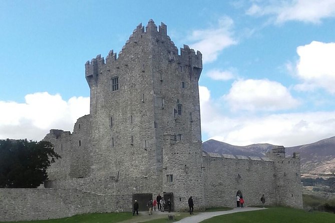 Ring of Kerry & Skellig Ring - Private Mini Bus Tour - Key things that make this tour work well