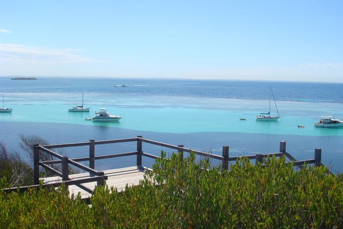 Rottnest Bayseeker Bus Tour from Hillarys Boat Harbour - Rottnest without the planning headache from Hillarys