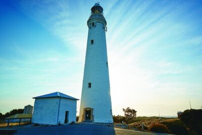 Rottnest Bayseeker Bus Tour from Hillarys Boat Harbour - The fast ferry ride: timing, scenery, and motion reality