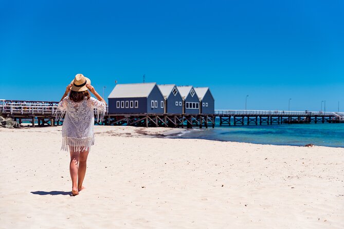 Rottnest Bayseeker Bus Tour from Hillarys Boat Harbour - Rottnest Island free time: main settlement, beaches, and quokkas