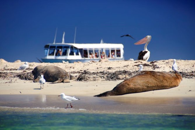 Rottnest Bayseeker Bus Tour from Hillarys Boat Harbour - What the stops really mean for your day