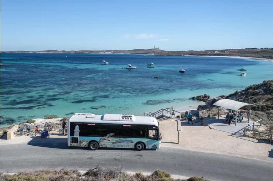 Rottnest Island Ferry and 1.75 Hr Bus Tour - Key highlights you will actually feel