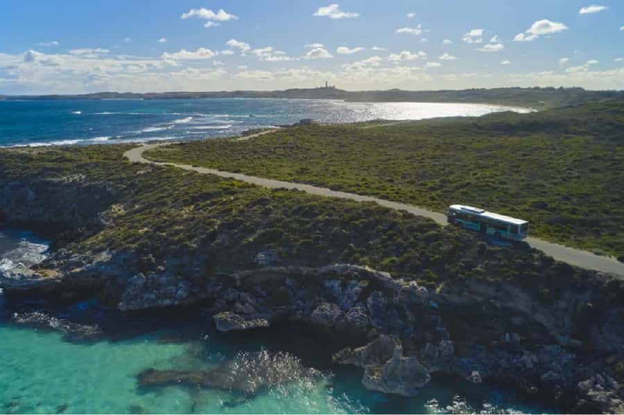Rottnest Island Ferry and 1.75 Hr Bus Tour - The 1.75-hour bus tour: seeing more without burning out