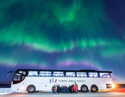 Rovaniemi: Hunting Northern Lights Bus Tour - What You’ll Actually See: Aurora Chances and the “Stop-and-Scan” Plan
