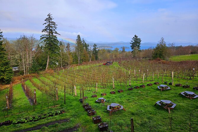 Salt Spring Island "Artisan Trail" Hop On Hop Off Tour! - Stop 4: Garry Oaks Estate Winery overlooking Burgoyne Valley