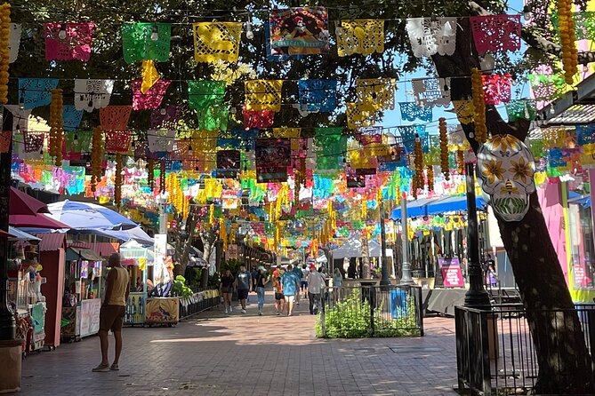 San Antonio Hop-On Hop-Off Trolley Tour - Who should book this trolley tour, and who might skip it