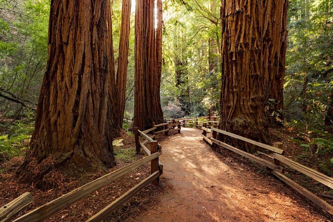 San Francisco Excursion: Guided Tour to Muir Woods and Sausalito - Key things to know before you book