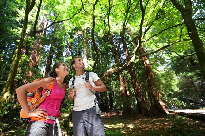 San Francisco Excursion: Guided Tour to Muir Woods and Sausalito - Getting to the meeting point (and avoiding the biggest hassle)