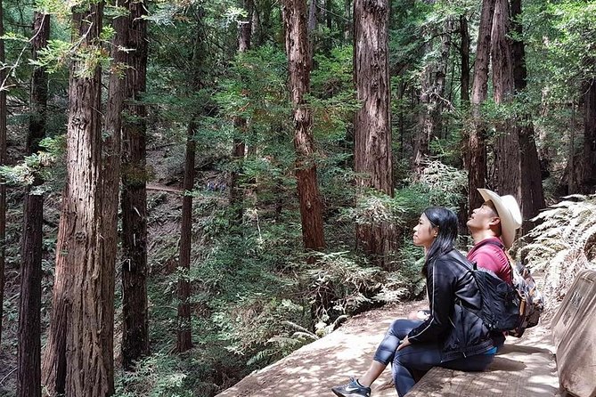San Francisco: Guided Muir Woods Tour & Hop-on Hop-off Bus Tour - Key things to know before you go