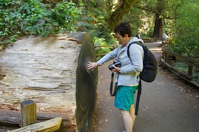 San Francisco: Guided Muir Woods Tour & Hop-on Hop-off Bus Tour - The included digital Chinatown walking tour: useful, not complicated