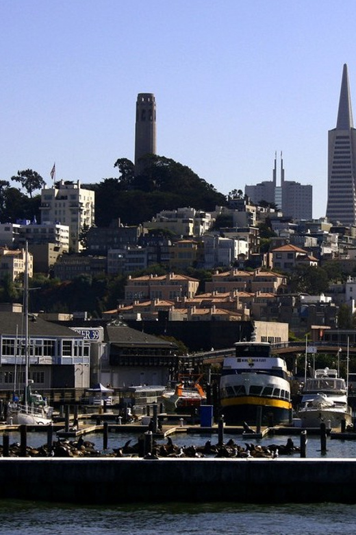 San Francisco: Hop-On Hop-Off City Bus Tour and Bay Cruise - Comfort and Practical Tips for a Better Day