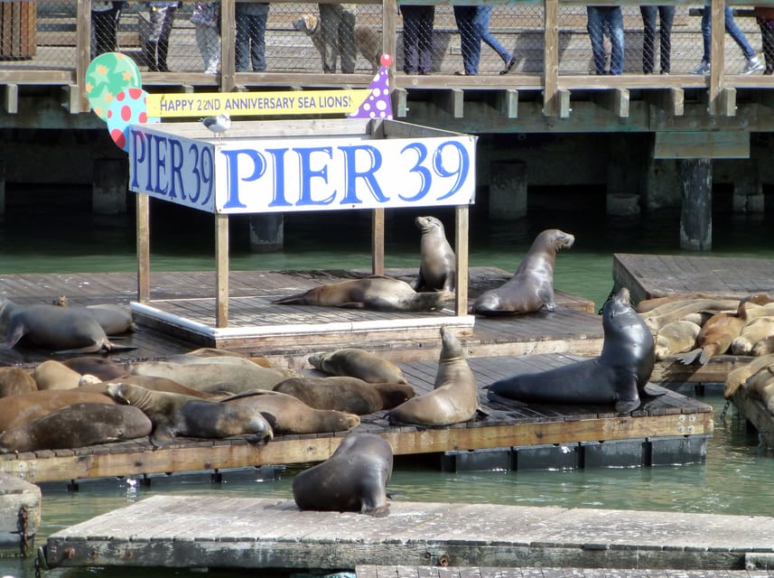 San Francisco: Hop-On Hop-Off City Bus Tour and Bay Cruise - Who This Tour Fits Best