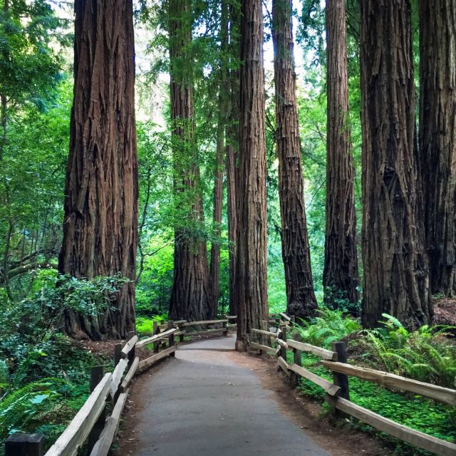 San Francisco: Hop-On Hop-Off Open-top Sightseeing Tour - Should You Book This Big Bus Loop?
