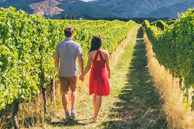 San Francisco: Napa & Sonoma Wine Tour & 24hr Hop-on Hop-off Tour - Key highlights worth planning around