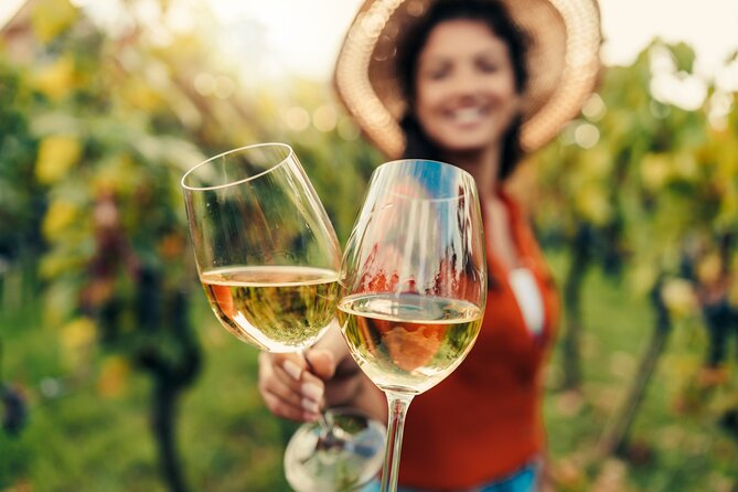 San Francisco: Napa & Sonoma Wine Tour & 24hr Hop-on Hop-off Tour - The big idea: one ticket that keeps you sightseeing longer