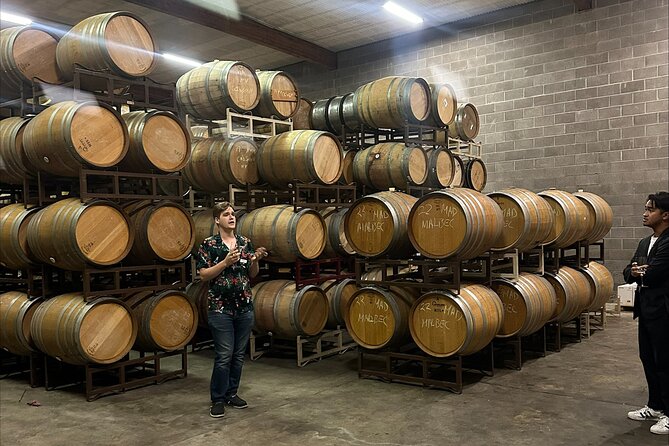 San Francisco: Napa & Sonoma Wine Tour & 24hr Hop-on Hop-off Tour - Meeting points, day planning, and making the 24 hours feel worth it