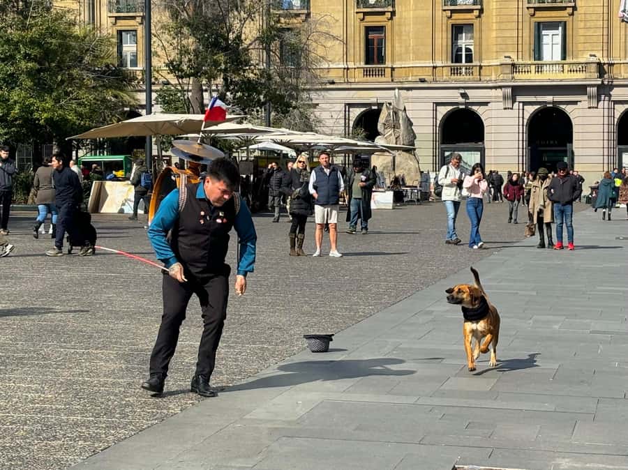 Santiago Half-Day Walking Tour with Hotel Pick up & Brunch - Key Points Worth Noting