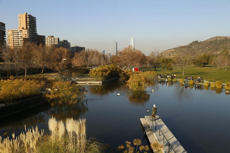 Santiago Half-Day Walking Tour with Hotel Pick up & Brunch - Bicentenario Park and the Lagoon With Black-Necked Swans