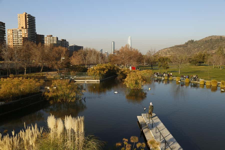 Santiago Half-Day Walking Tour with Hotel Pick up & Brunch - Santiago Central Market: Where the Local Food Is Part of the Education
