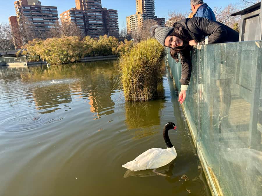 Santiago Half-Day Walking Tour with Hotel Pick up & Brunch - Citizenship Park and the Walk That Ties It Together