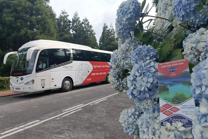 São Miguel Hop-On Hop-Off Sightseeing Bus - East side: from Carvão to Caldeira Velha, tea at Gorreana, and the coast