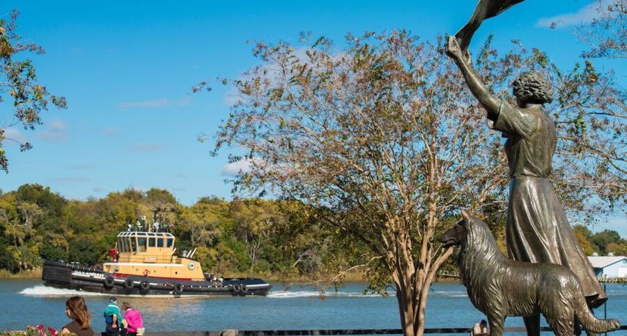 Savannah: Old Town Hop-On Hop-Off Trolley Tour - Comfort, crowds, and small problems worth planning for