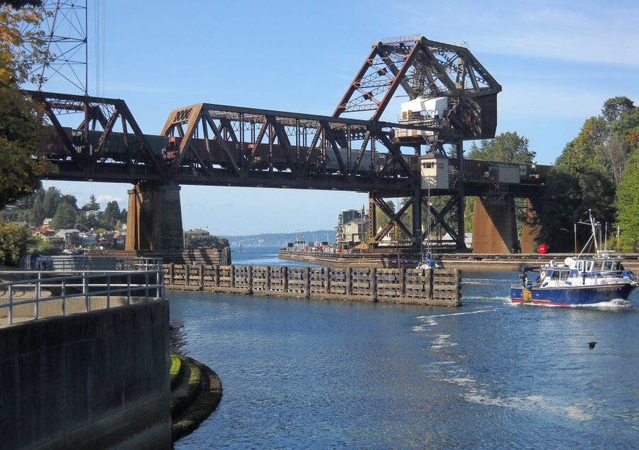 Seattle: Sightseeing Bus Tour with the Ballard Locks - Gas Works Park Along Lake Union: Easy Grass Time With a Seattle Waterfront Twist