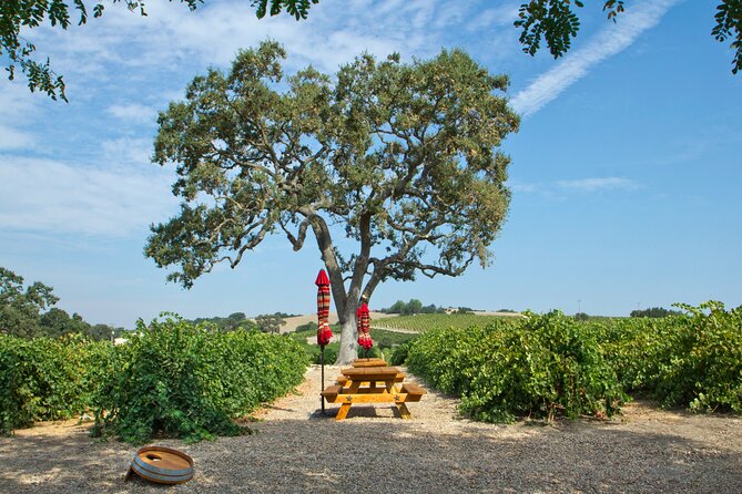 Semi-Private, Modified Hop-On Hop-Off Wine Tasting Tour from Morro and Cayucos - Semi-private hop-on hop-off in about 5 hours