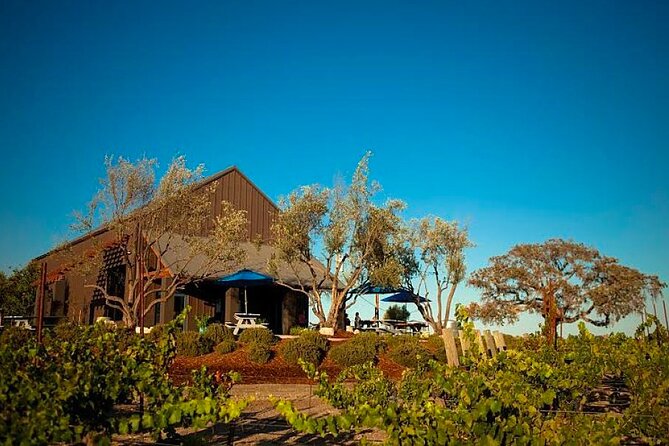 Semi-Private, Modified Hop-On Hop-Off Wine Tour from San Luis Obispo & Pismo - Key Things That Make This Tour Worth Your Time