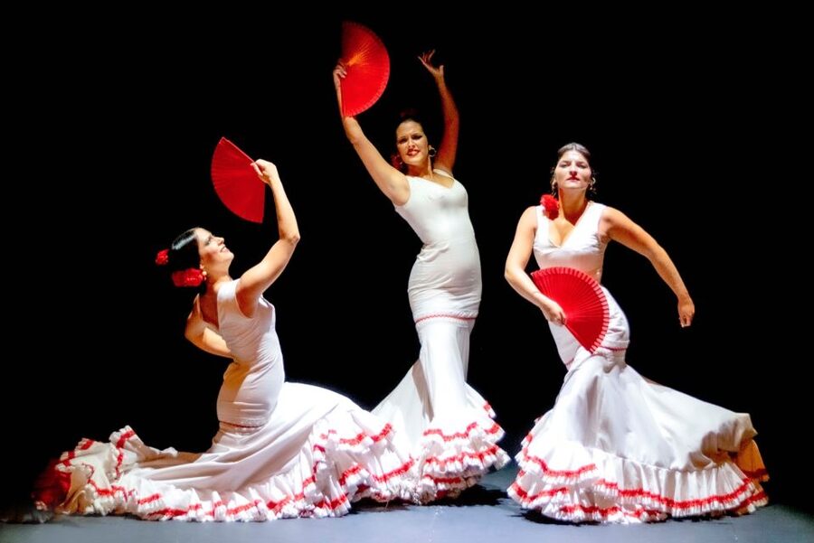 Sevilla: Hop-On Hop-Off & Walking Tours, Cruise & Flamenco - Common snag points: meeting points, timing, and getting help